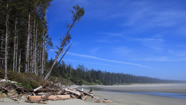 Combers Beach Trail