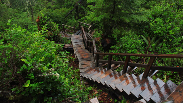Halfmoon Bay Trail