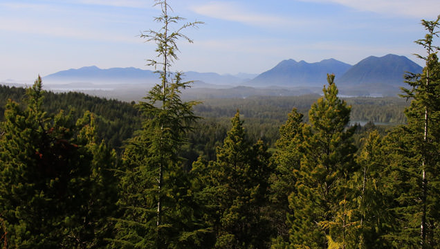 Radar Hill Trail