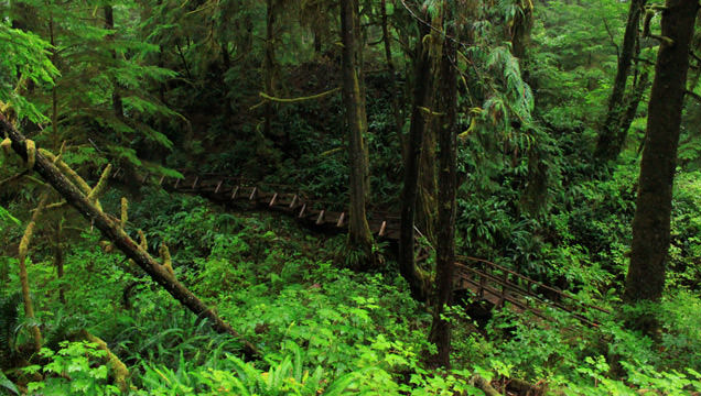 Schooner Cove Trail