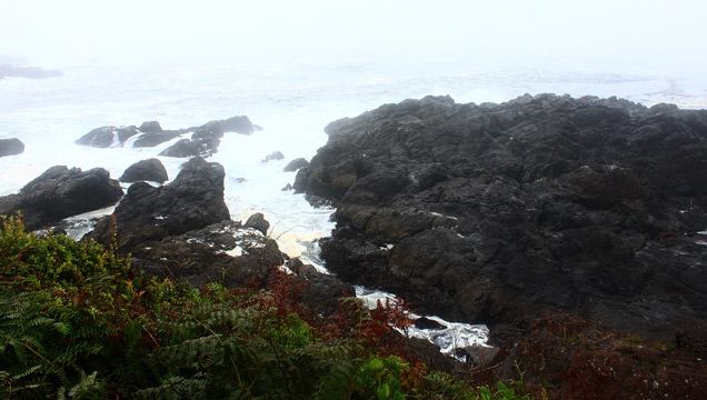 Wild Pacific Trail