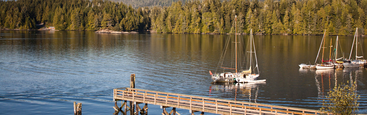 The view of the dock in Tofino