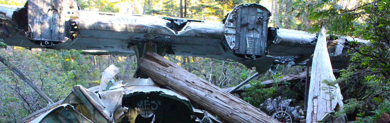 Canso Plane Crash Site