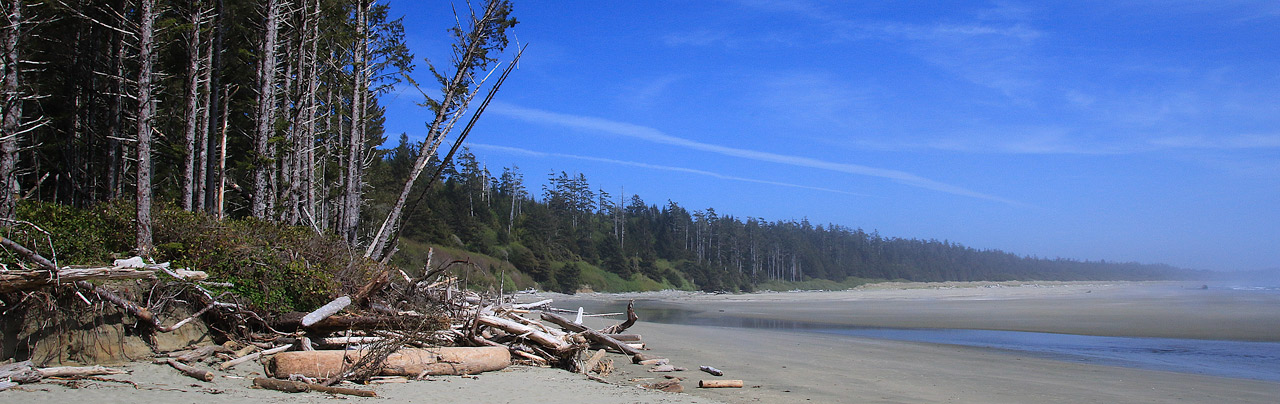 Combers Beach Trail