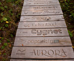 The writing from dozens of visitors is carved into the wooden boardwalks on the trail to Hot Springs Cove