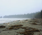 The beach at the end of the Nuu Chah Nulth Trail