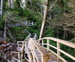 The wooden stairs along the route down to Tonquin Beach near Tofino